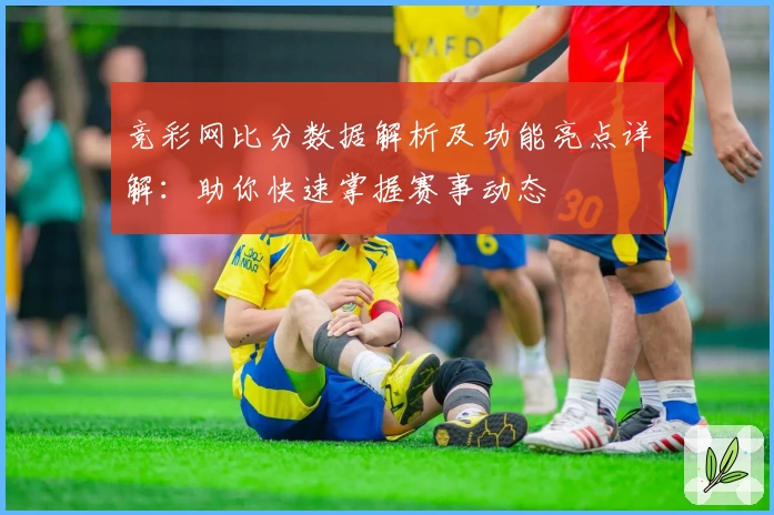 竞彩网比分数据解析及功能亮点详解：助你快速掌握赛事动态