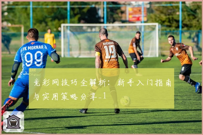 竞彩网技巧全解析：新手入门指南与实用策略分享_1