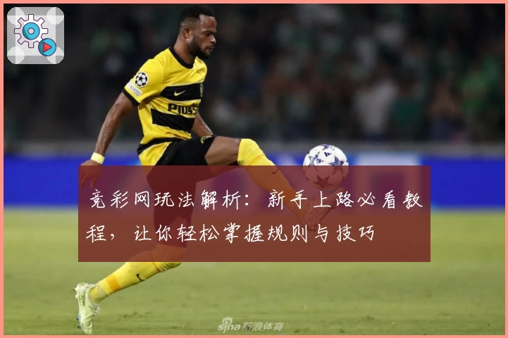 竞彩网玩法解析：新手上路必看教程，让你轻松掌握规则与技巧