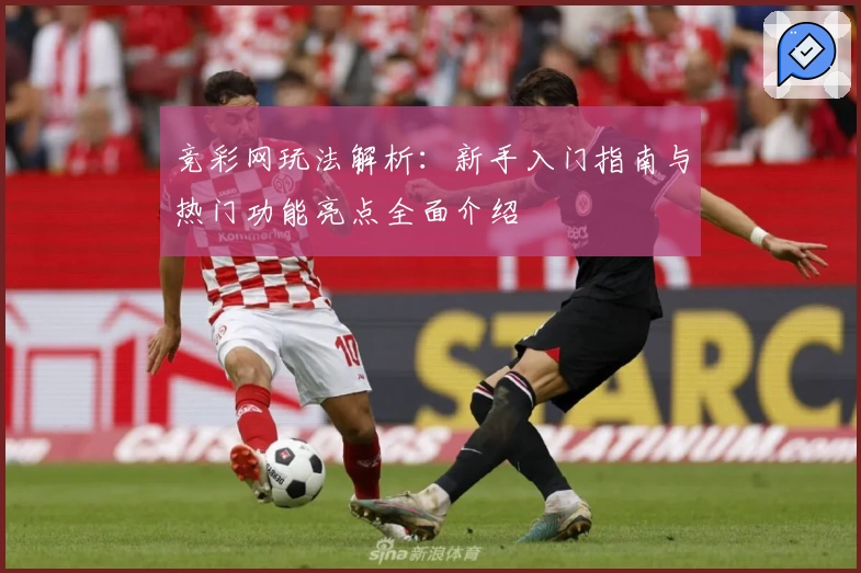 竞彩网玩法解析：新手入门指南与热门功能亮点全面介绍