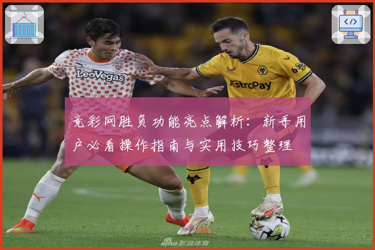 竞彩网胜负功能亮点解析：新手用户必看操作指南与实用技巧整理